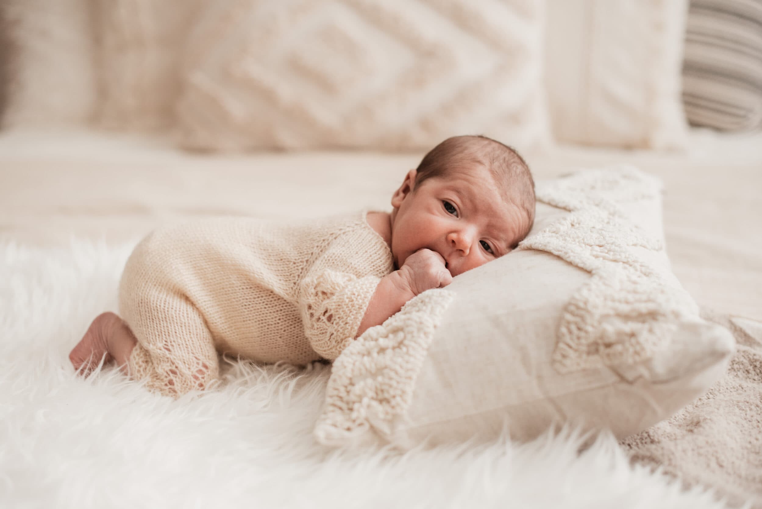 babyfotos Leipzig, babygalerie Leipzig, babygalerie Zwickau, babyfotograf Erfurt, babyfotograf Leipzig, neugeborenen Bilder, Babyfots Erfurt, Babyfotos Leipzig
